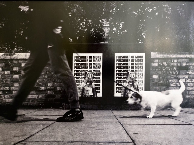 Prisoner No More - Carmine Palladino